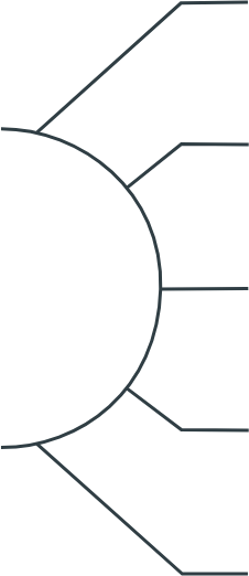 Lines