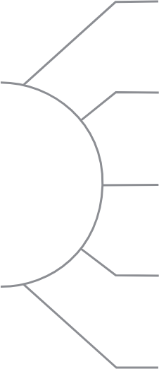 Lines